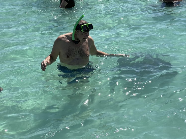 Stingrays