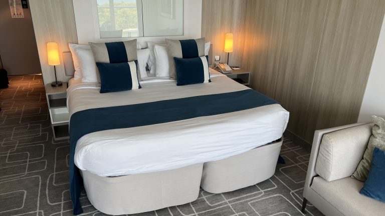 Tour of The Elegant Celebrity Edge Sky Suite