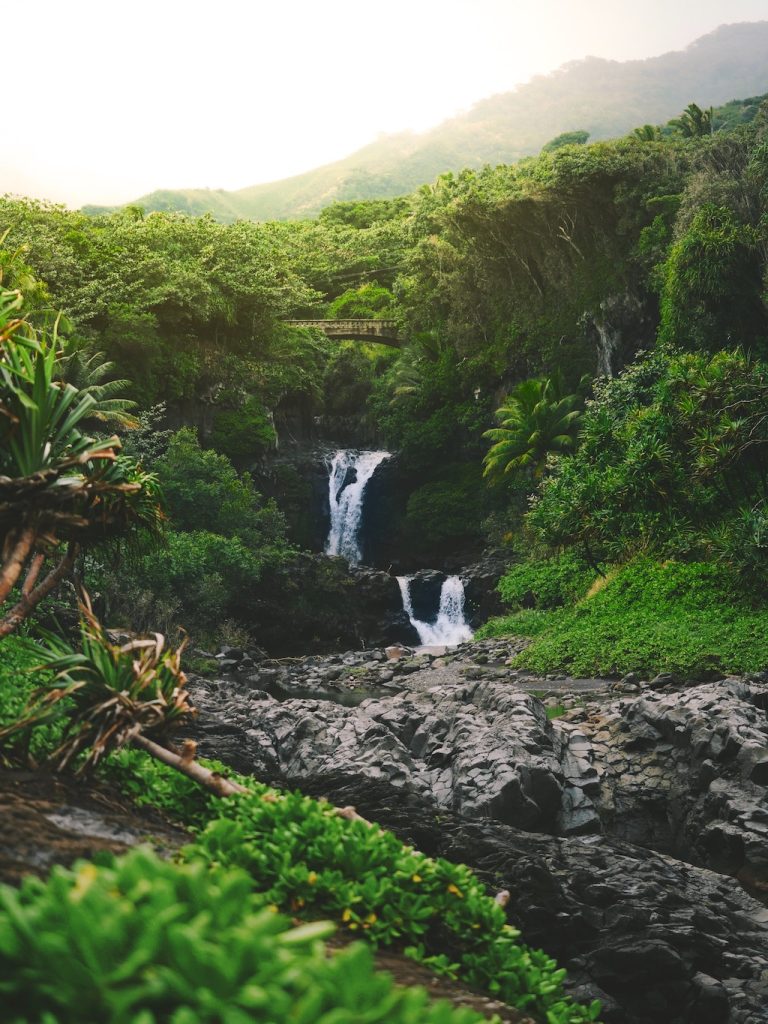 Instagrammable cruise destinations
