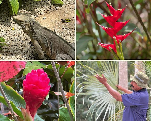 QEII Botanical Garden 1