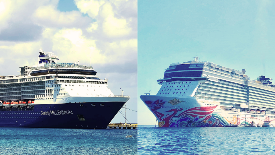 Celebrity vs. Norwegian 1
