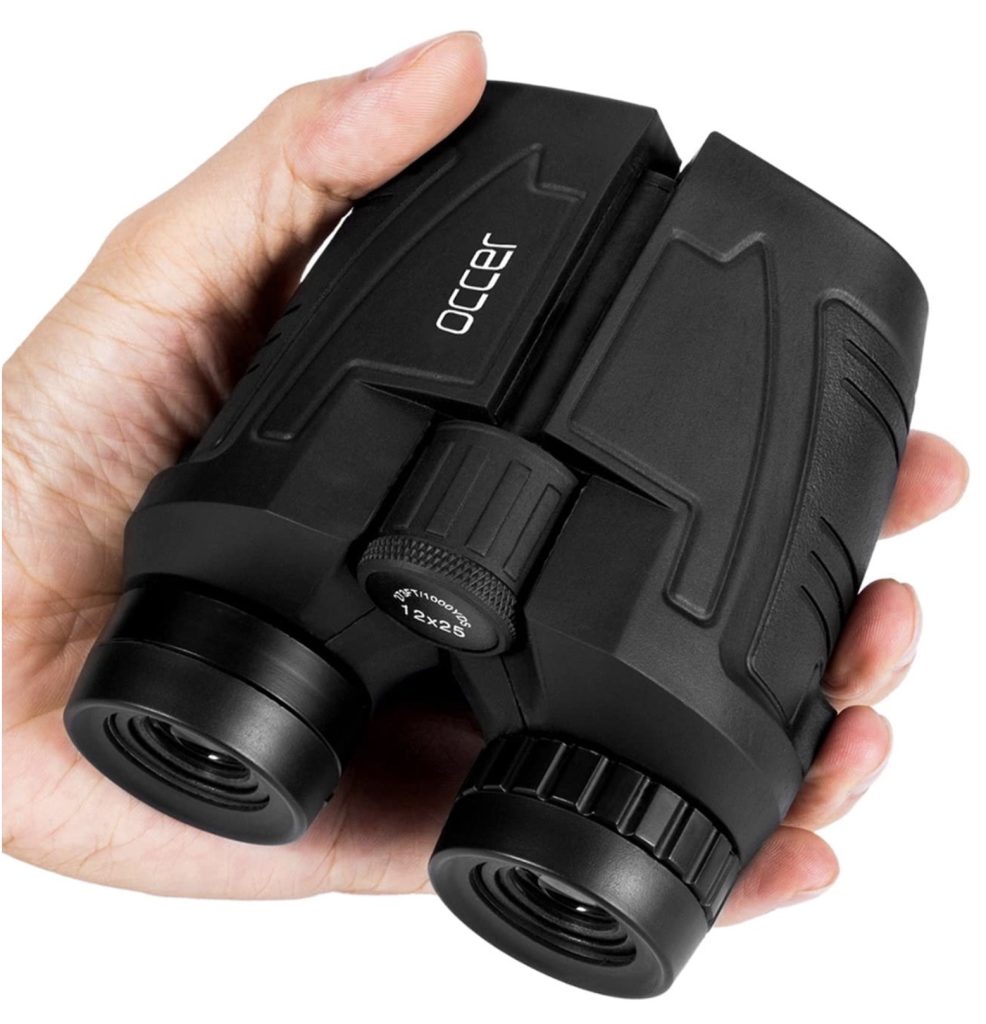 Compact binoculars