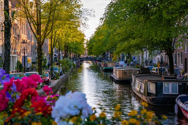 Things to do in Amsterdam