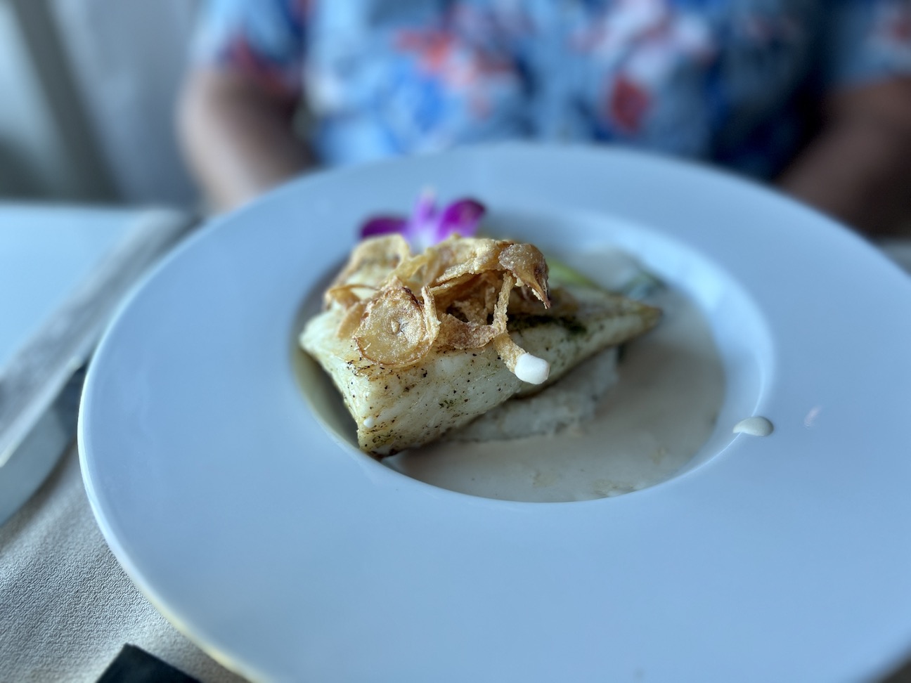 Solstice Luminae fish