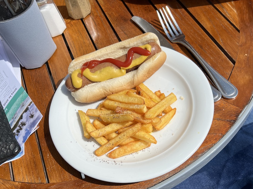 Solstice Mast Grill hot dog and fries