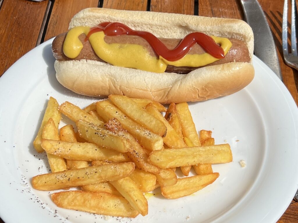 Solstice Mast Grill hot dog and fries 2