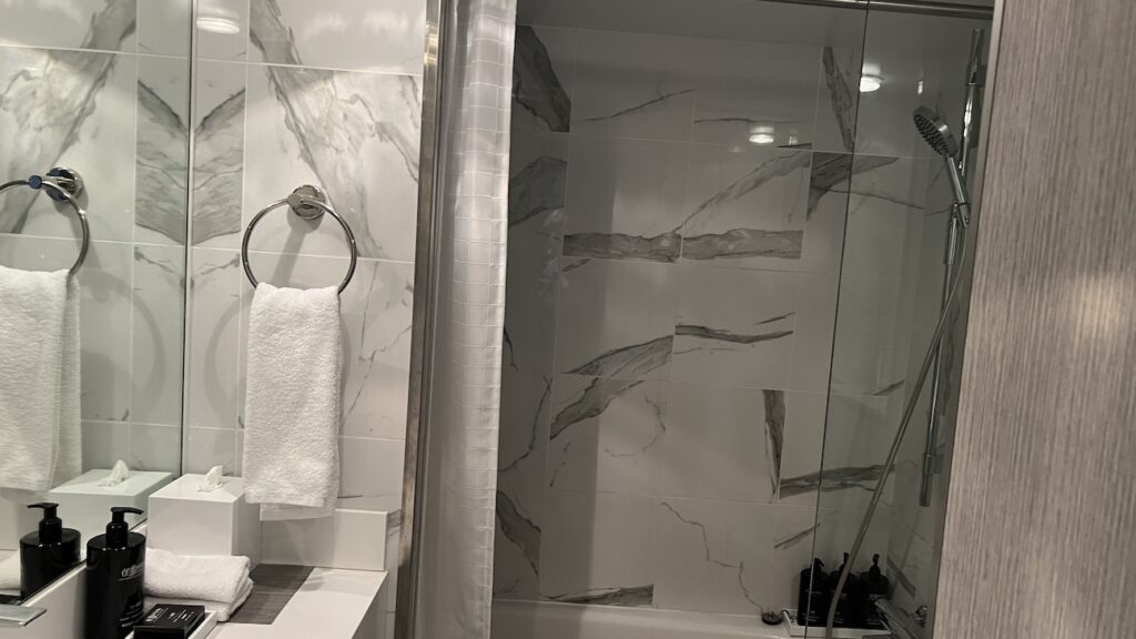 Sky Suite On Celebrity Millennium bathroom shower