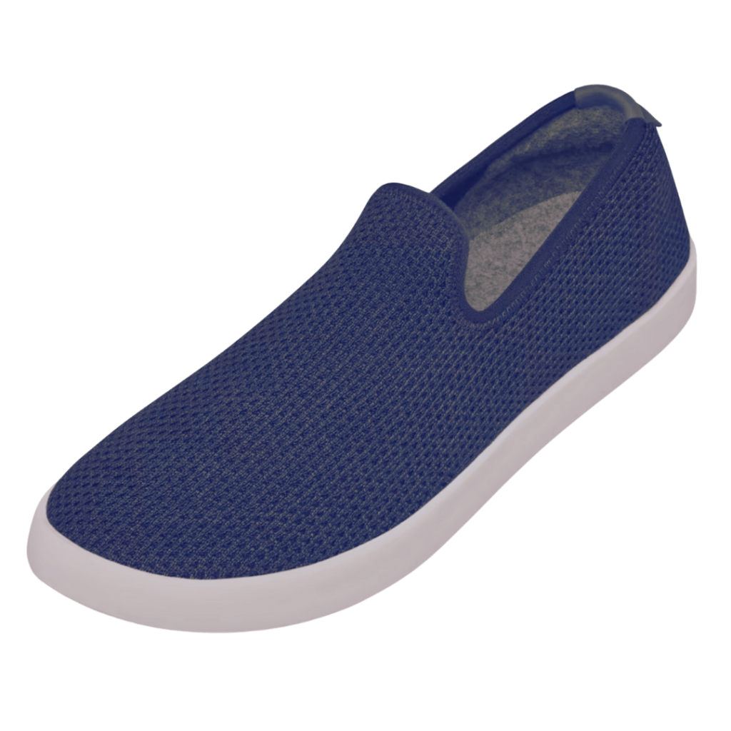 Allbirds blue tree lounger