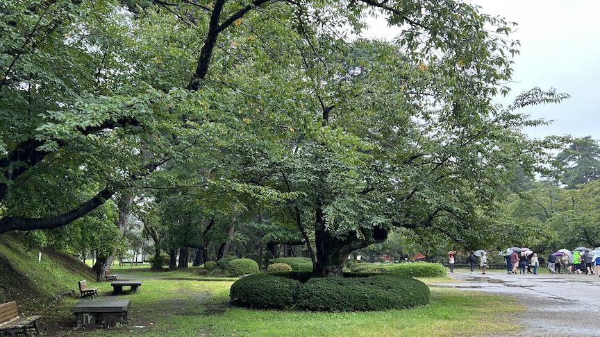 Japanese garden