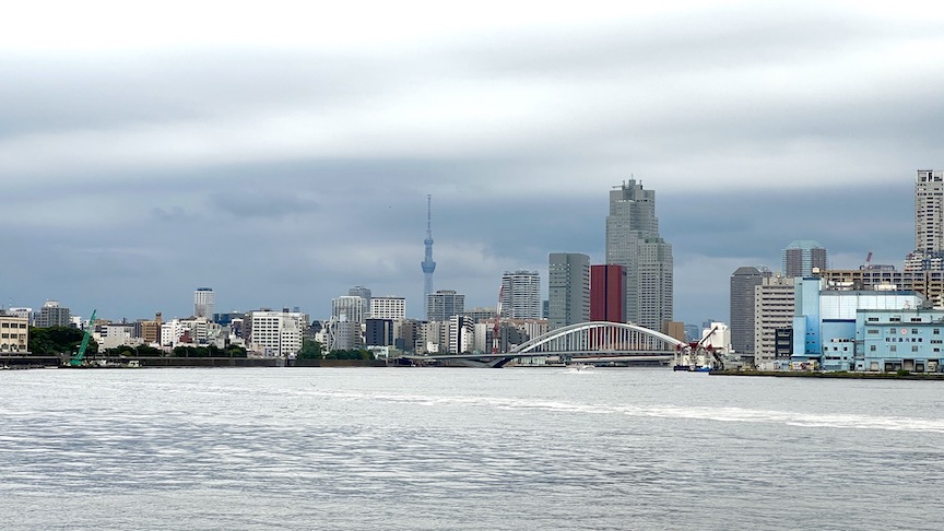 View of Tokyo from Tokyo Bay