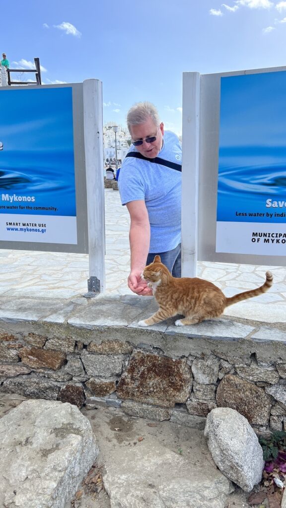 Mykonos Myron with cat portrait