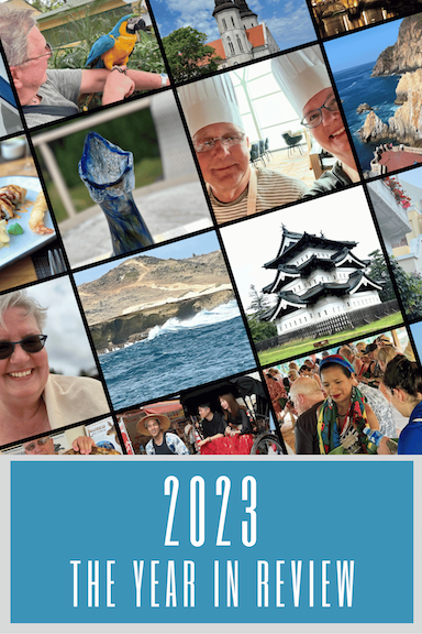 Pinterest pin 2023 The Year in Review 1