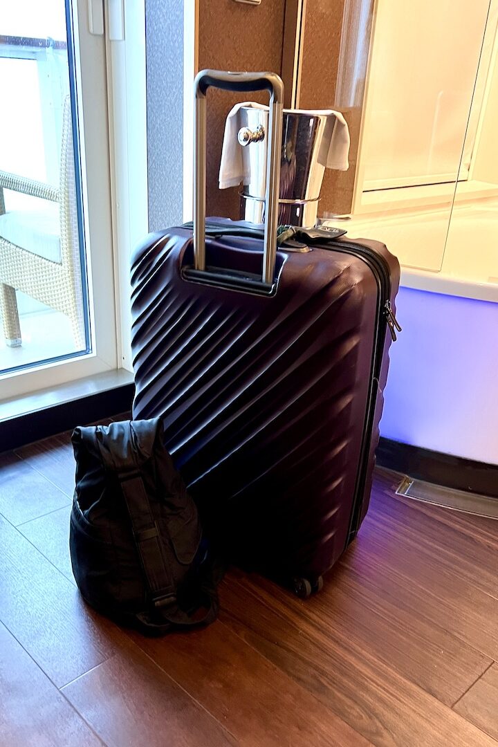 ricardo beverly hills luggage
