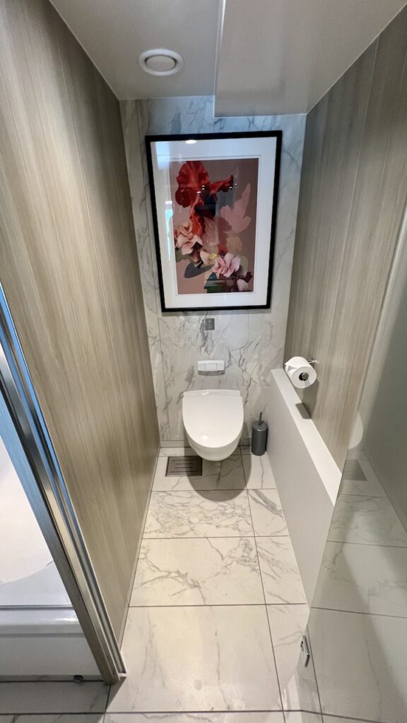 The separate water closet of the Sky Suite, which has a frosted glass door. It contains a toilet and a lovely piece of wall art.