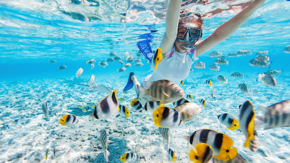 Snorkeling in Caribbean